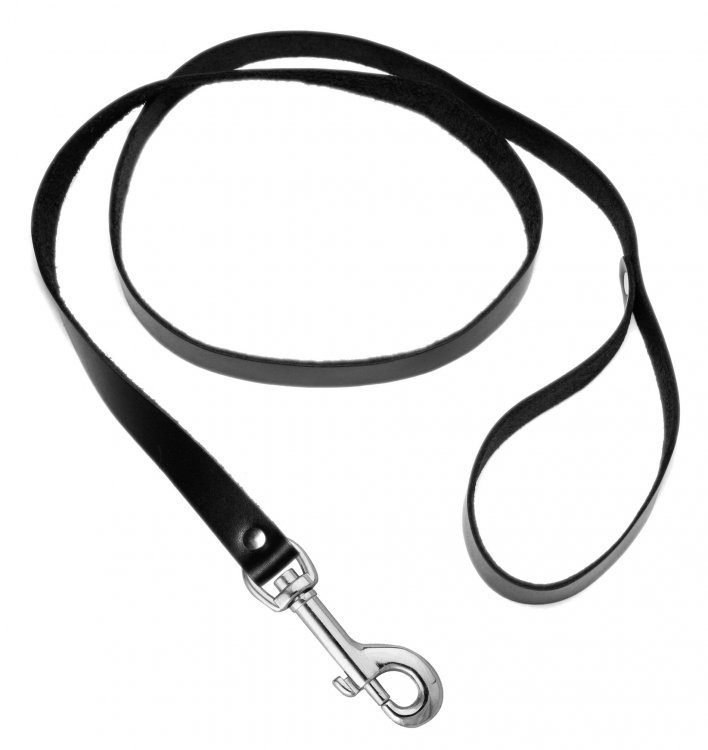 4 Foot Leather Leash